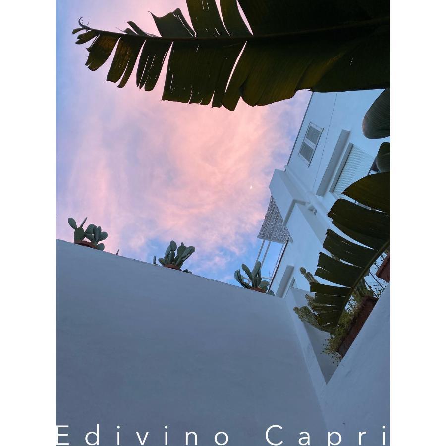 Suites Edivino Design カプリ エクステリア 写真
